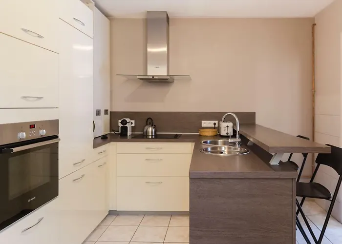 Le Victor Hugo Апартаменты Кольмар